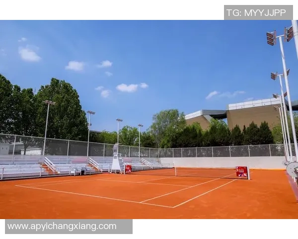 北京网球队的崛起与发展探索全景聚焦网球运动的力量与未来